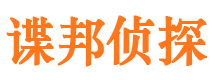 梅里斯侦探社